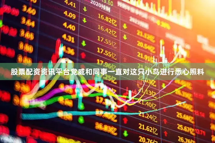 股票配资资讯平台党威和同事一直对这只小鸟进行悉心照料
